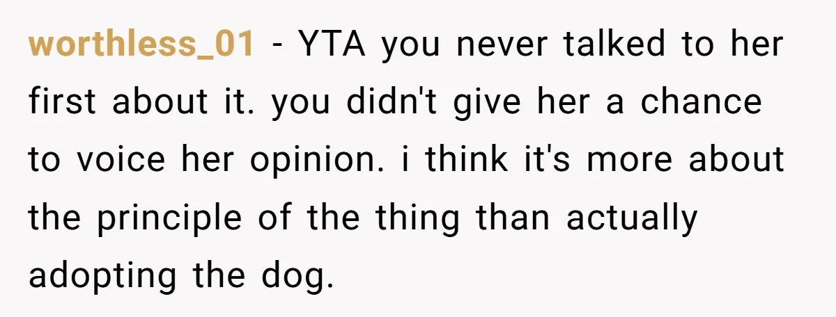 worthless_01 − YTA you never talked to her first about it. you didn't give her a chance to voice her opinion. i think it's more about the principle of the...