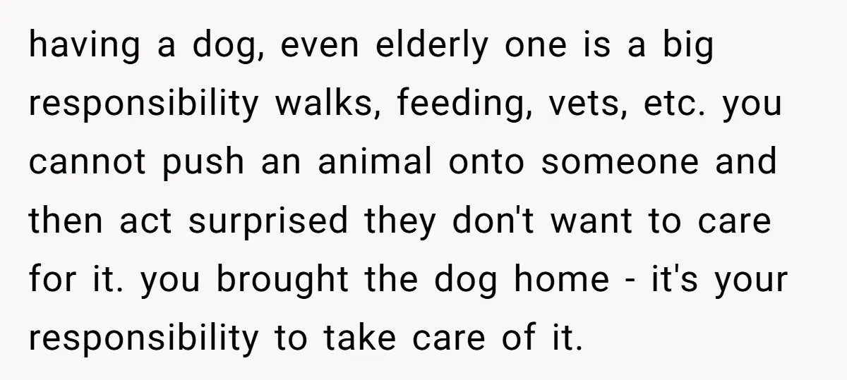 having a dog, even elderly one is a big responsibility walks, feeding, vets, etc. you cannot push an animal onto someone and then act surprised they don't want to care...