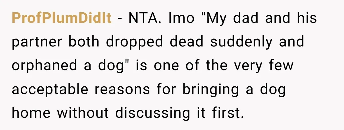 ProfPlumDidIt − NTA. Imo "My dad and his partner both dropped dead suddenly and orphaned a dog" is one of the very few acceptable reasons for bringing a dog home...