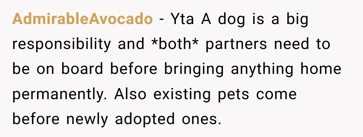 AdmirableAvocado − Yta A dog is a big responsibility and *both* partners need to be on board before bringing anything home permanently. Also existing pets come before newly adopted ones.