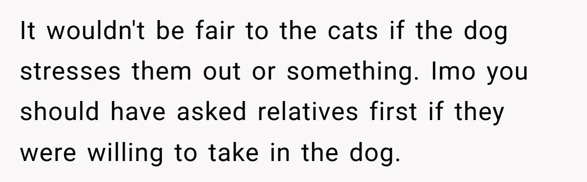 It wouldn't be fair to the cats if the dog stresses them out or something. Imo you should have asked relatives first if they were willing to take in the...