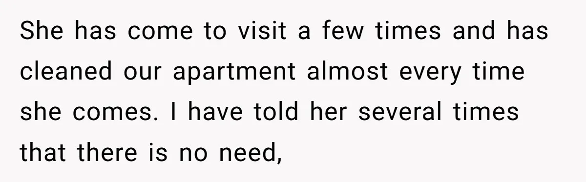She has come to visit a few times and has cleaned our apartment almost every time she comes. I have told her several times that there is no need,