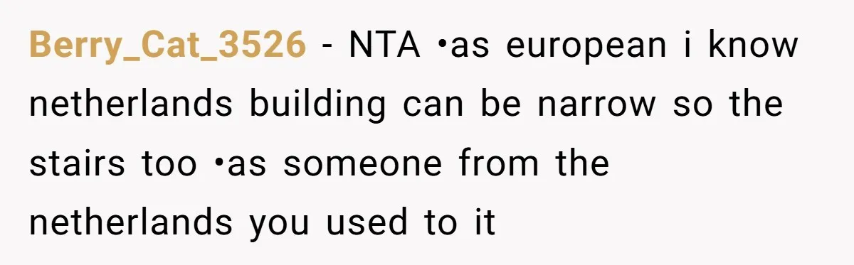 Berry_Cat_3526 − NTA •as european i know netherlands building can be narrow so the stairs too •as someone from the netherlands you used to it