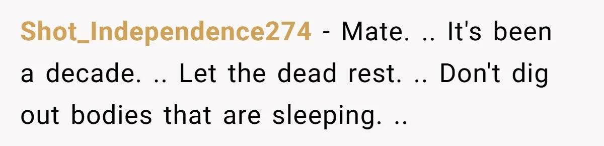 Shot_Independence274 − Mate. .. It's been a decade. .. Let the dead rest. .. Don't dig out bodies that are sleeping. ..