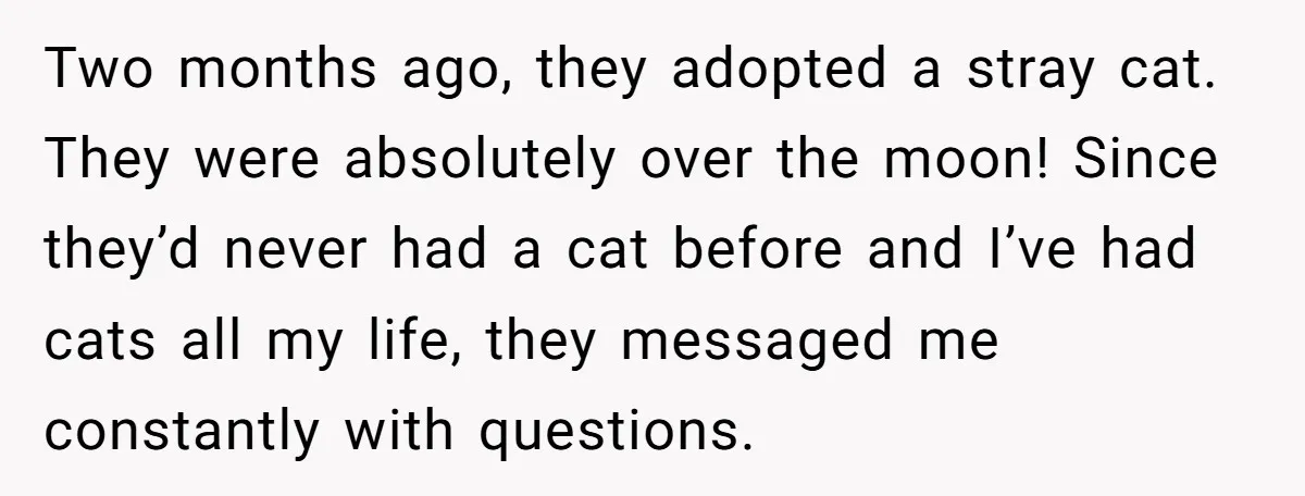 Two months ago, they adopted a stray cat. They were absolutely over the moon! Since they’d never had a cat before and I’ve had cats all my life, they messaged...