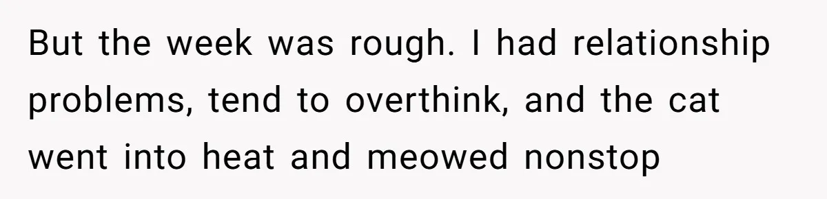 But the week was rough. I had relationship problems, tend to overthink, and the cat went into heat and meowed nonstop