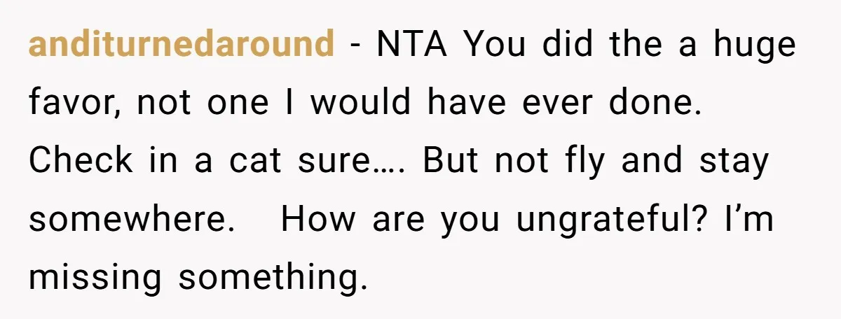 anditurnedaround − NTA You did the a huge favor, not one I would have ever done. Check in a cat sure…. But not fly and stay somewhere. How are you...