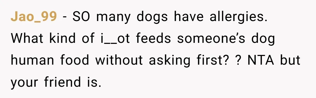 Jao_99 − SO many dogs have allergies. What kind of i__ot feeds someone’s dog human food without asking first? ? NTA but your friend is.