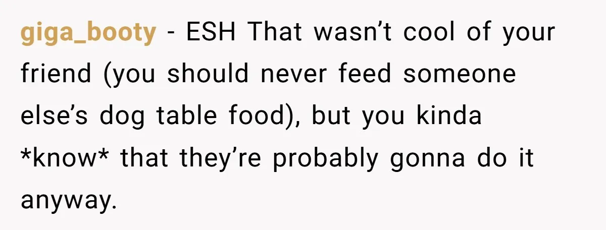 giga_booty − ESH That wasn’t cool of your friend (you should never feed someone else’s dog table food), but you kinda *know* that they’re probably gonna do it anyway.