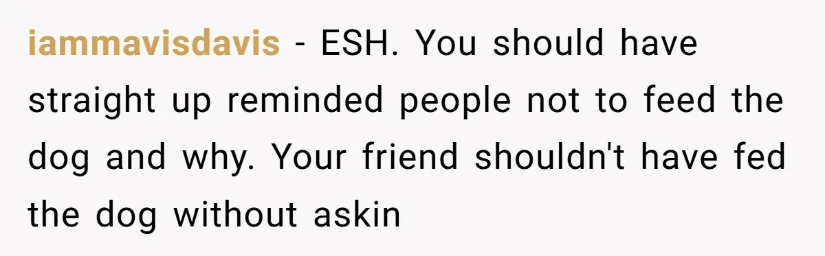iammavisdavis − ESH. You should have straight up reminded people not to feed the dog and why. Your friend shouldn't have fed the dog without askin