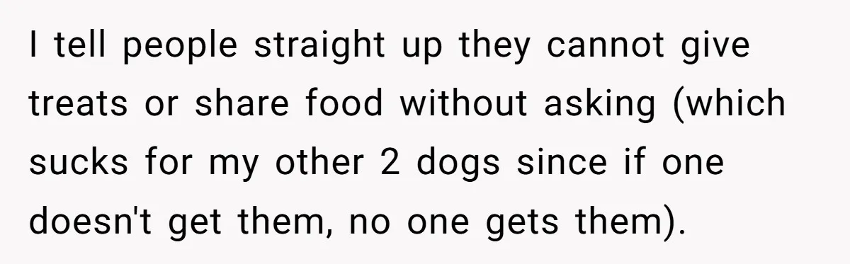 I tell people straight up they cannot give treats or share food without asking (which sucks for my other 2 dogs since if one doesn't get them, no one gets...