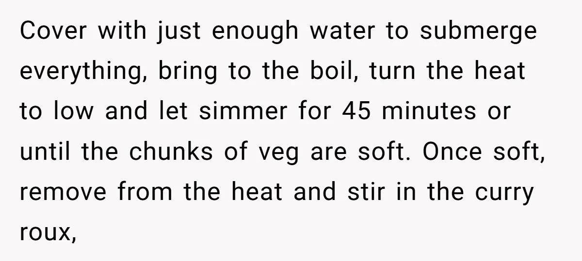 Cover with just enough water to submerge everything, bring to the boil, turn the heat to low and let simmer for 45 minutes or until the chunks of veg are...