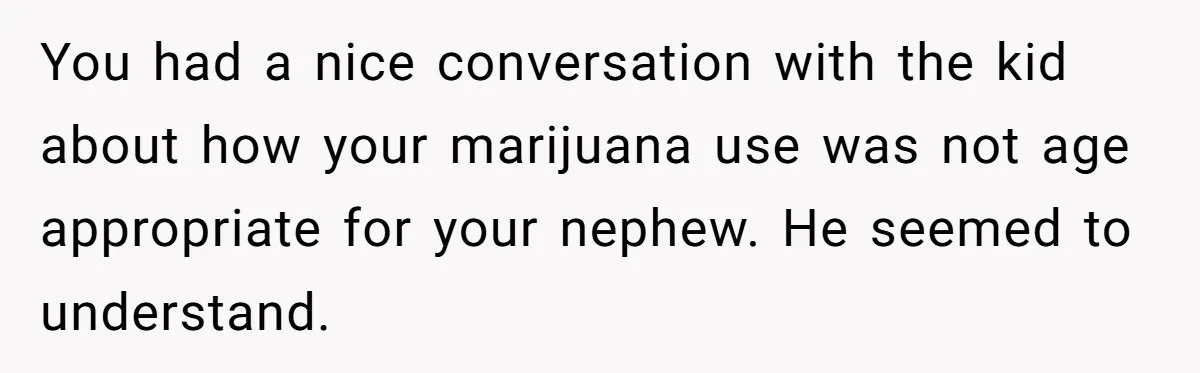 You had a nice conversation with the kid about how your marijuana use was not age appropriate for your nephew. He seemed to understand.