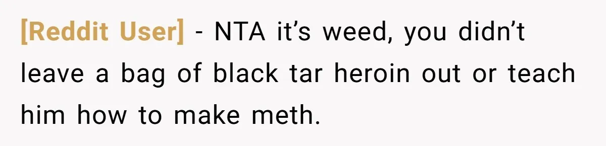 [Reddit User] − NTA it’s weed, you didn’t leave a bag of black tar heroin out or teach him how to make meth.