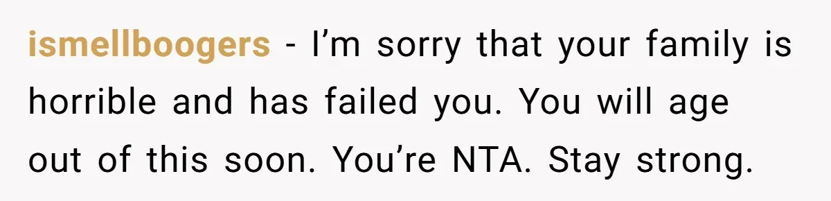 ismellboogers − I’m sorry that your family is horrible and has failed you. You will age out of this soon. You’re NTA. Stay strong.