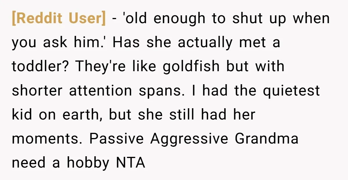 [Reddit User] − 'old enough to shut up when you ask him.' Has she actually met a toddler? They're like goldfish but with shorter attention spans. I had the quietest...