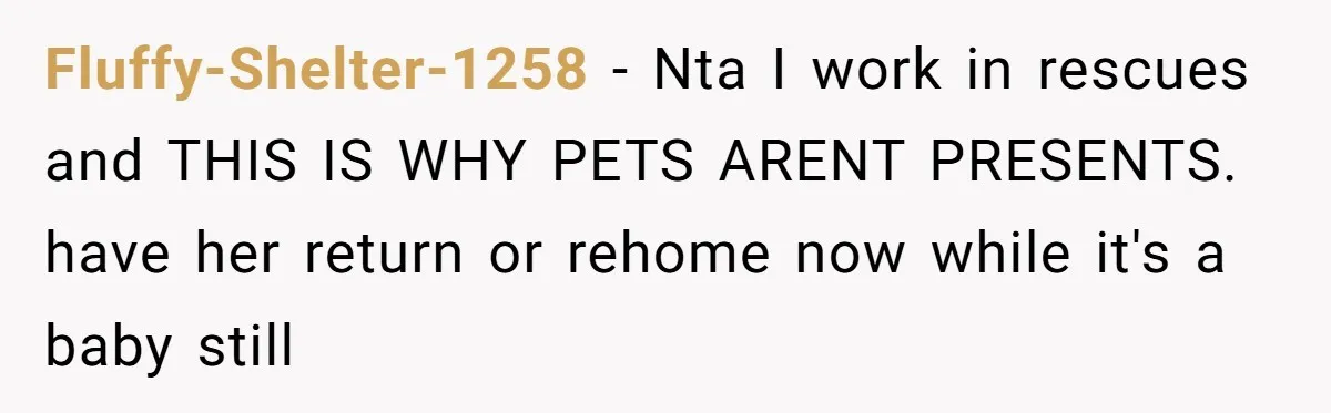 Fluffy-Shelter-1258 − Nta I work in rescues and THIS IS WHY PETS ARENT PRESENTS. have her return or rehome now while it's a baby still