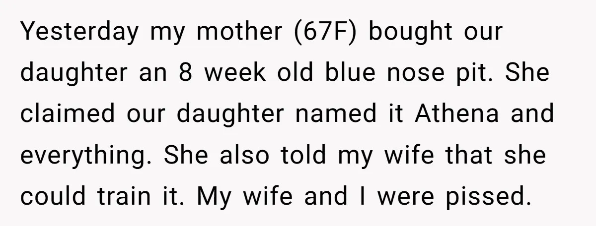 Yesterday my mother (67F) bought our daughter an 8 week old blue nose pit. She claimed our daughter named it Athena and everything. She also told my wife that she...