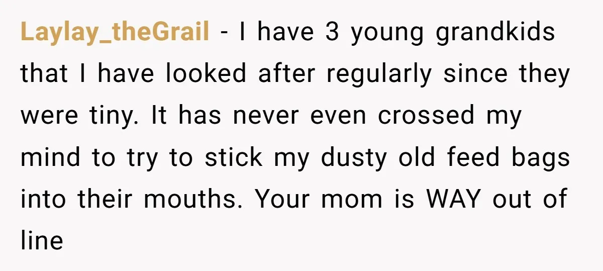 Laylay_theGrail − I have 3 young grandkids that I have looked after regularly since they were tiny. It has never even crossed my mind to try to stick my dusty...