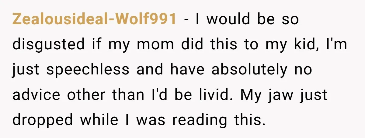 Zealousideal-Wolf991 − I would be so disgusted if my mom did this to my kid, I'm just speechless and have absolutely no advice other than I'd be livid. My jaw...