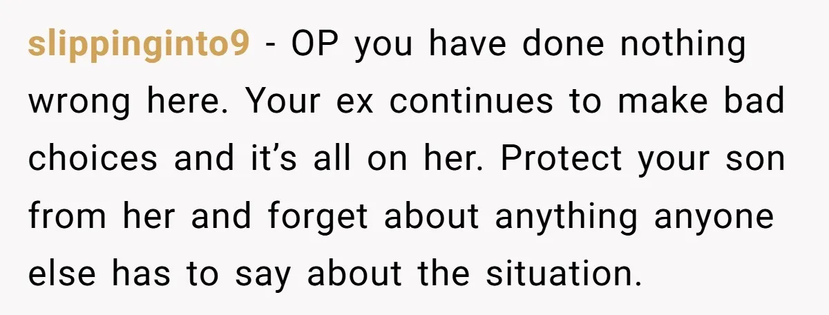 slippinginto9 − OP you have done nothing wrong here. Your ex continues to make bad choices and it’s all on her. Protect your son from her and forget about anything...