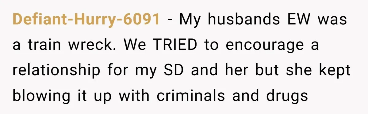 Defiant-Hurry-6091 − My husbands EW was a train wreck. We TRIED to encourage a relationship for my SD and her but she kept blowing it up with criminals and drugs