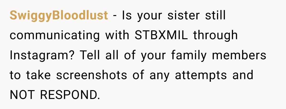 SwiggyBloodlust − Is your sister still communicating with STBXMIL through Instagram? Tell all of your family members to take screenshots of any attempts and NOT RESPOND.
