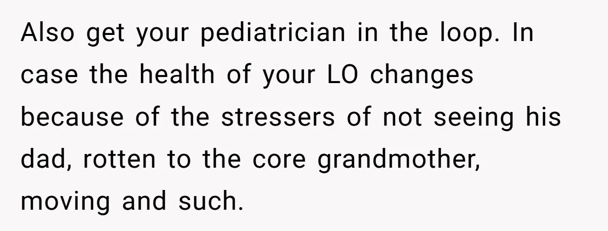 Also get your pediatrician in the loop. In case the health of your LO changes because of the stressers of not seeing his dad, rotten to the core grandmother, moving...