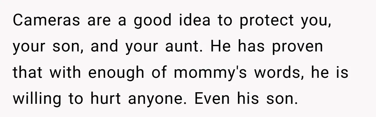 Cameras are a good idea to protect you, your son, and your aunt. He has proven that with enough of mommy's words, he is willing to hurt anyone. Even his...