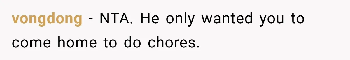 vongdong − NTA. He only wanted you to come home to do chores.