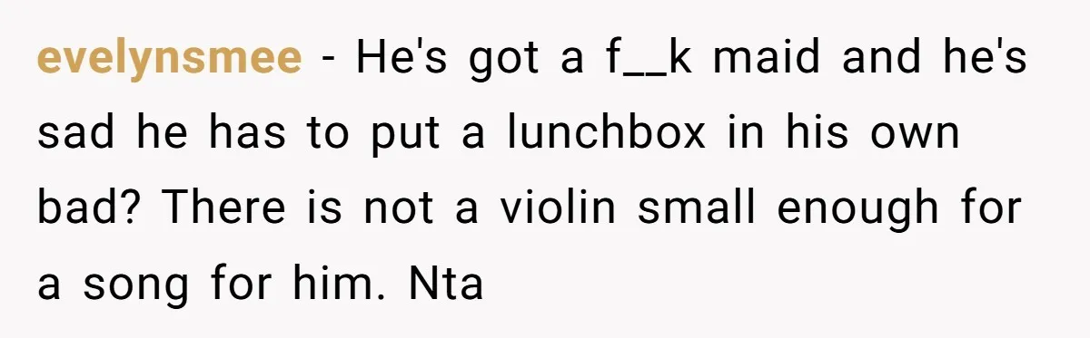 evelynsmee − He's got a f__k maid and he's sad he has to put a lunchbox in his own bad? There is not a violin small enough for a song...