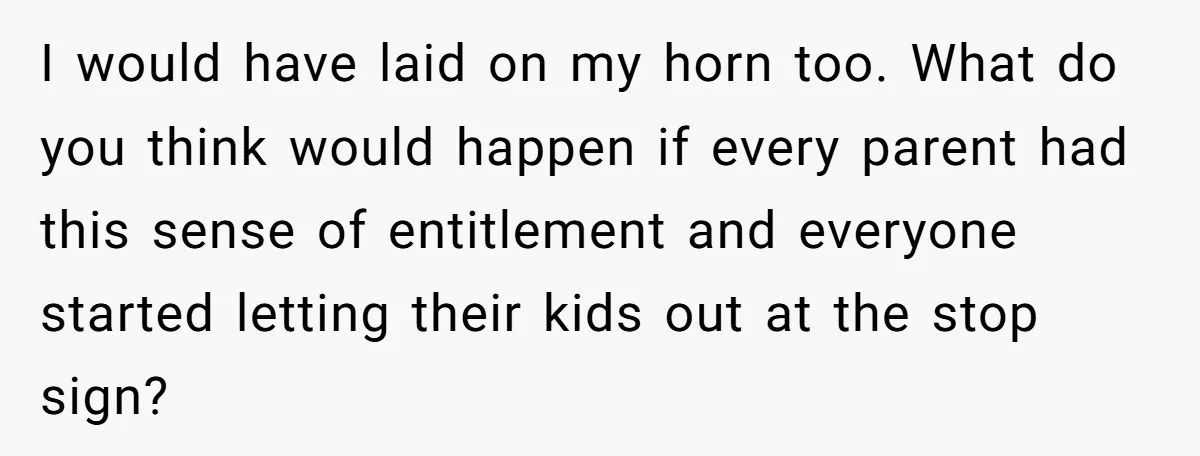 I would have laid on my horn too. What do you think would happen if every parent had this sense of entitlement and everyone started letting their kids out at...