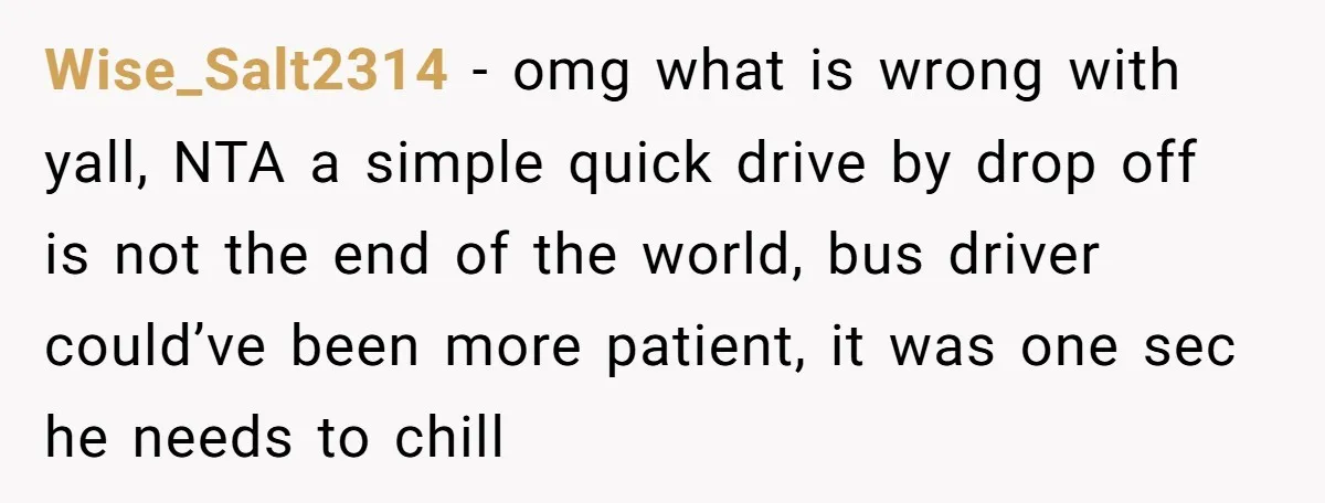 Wise_Salt2314 − omg what is wrong with yall, NTA a simple quick drive by drop off is not the end of the world, bus driver could’ve been more patient, it...