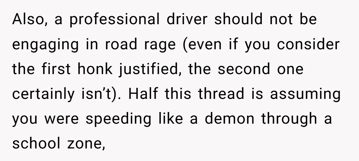 Also, a professional driver should not be engaging in road rage (even if you consider the first honk justified, the second one certainly isn’t). Half this thread is assuming you...