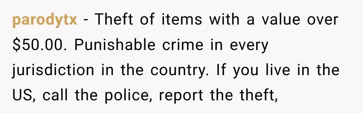 parodytx − Theft of items with a value over $50.00. Punishable crime in every jurisdiction in the country. If you live in the US, call the police, report the theft,