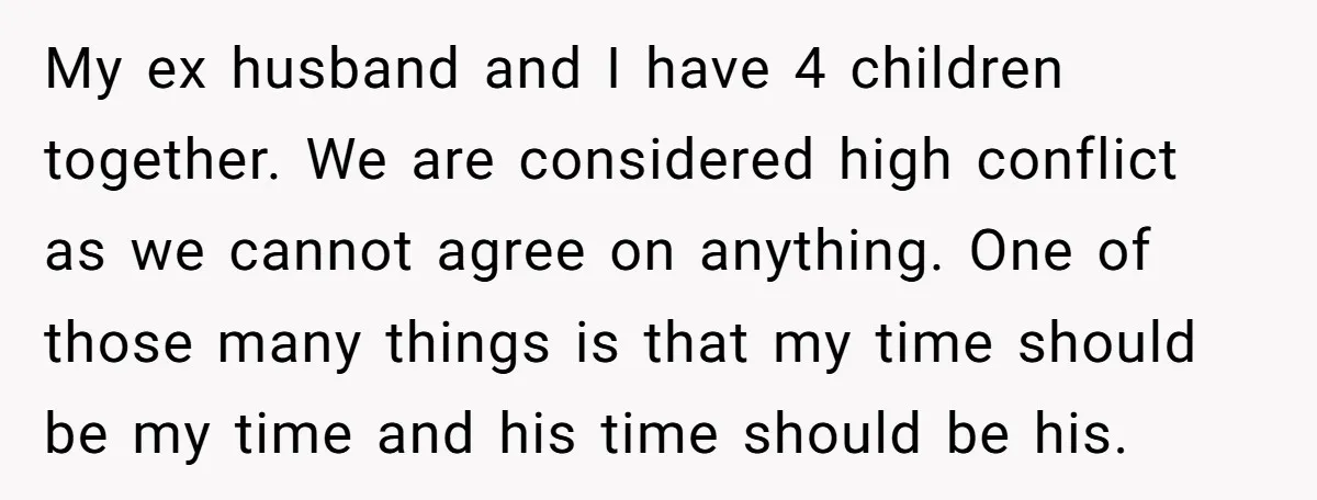 My ex husband and I have 4 children together. We are considered high conflict as we cannot agree on anything. One of those many things is that my time should...