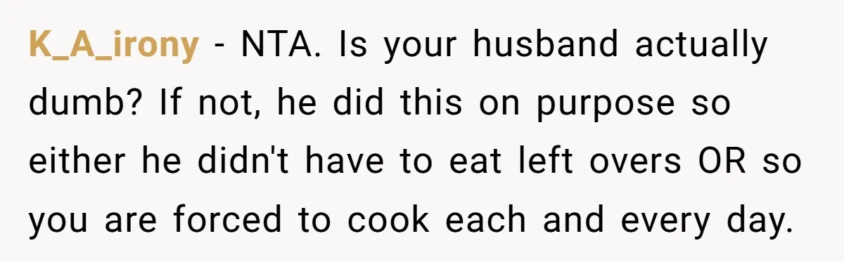 K_A_irony − NTA. Is your husband actually dumb? If not, he did this on purpose so either he didn't have to eat left overs OR so you are forced to...