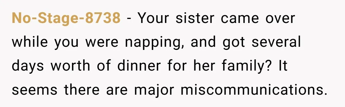 No-Stage-8738 − Your sister came over while you were napping, and got several days worth of dinner for her family? It seems there are major miscommunications.