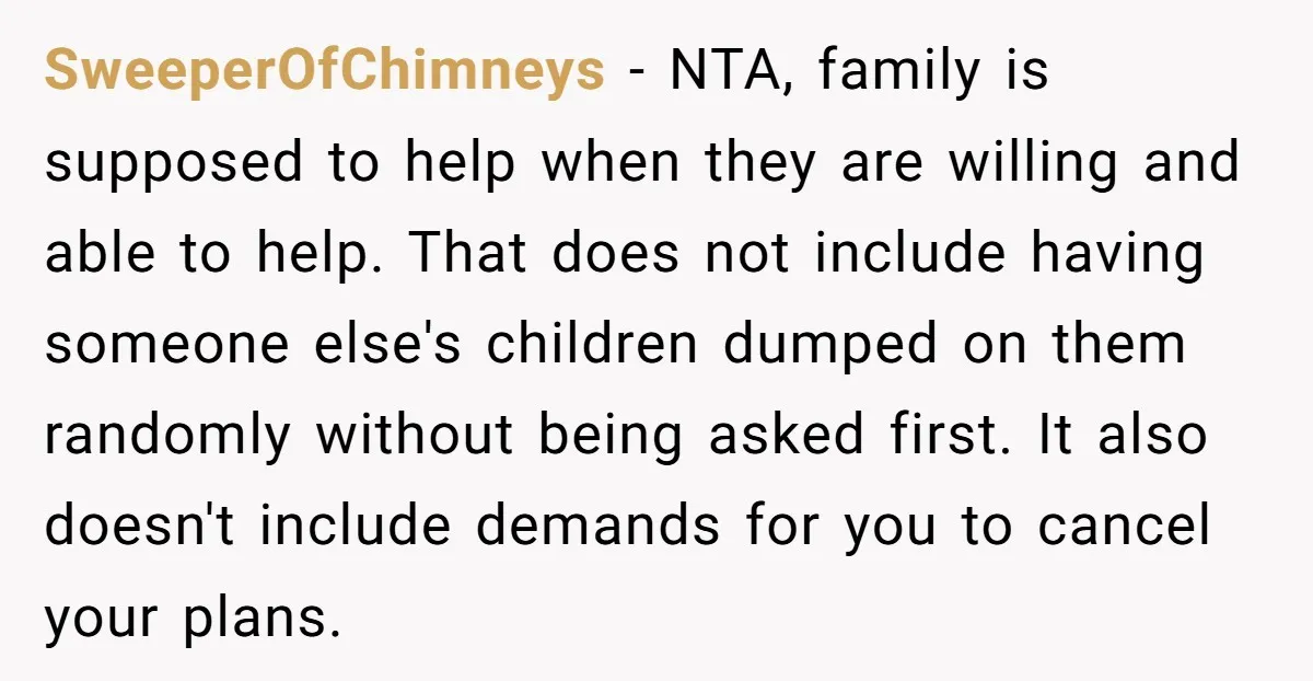 SweeperOfChimneys − NTA, family is supposed to help when they are willing and able to help. That does not include having someone else's children dumped on them randomly without being...