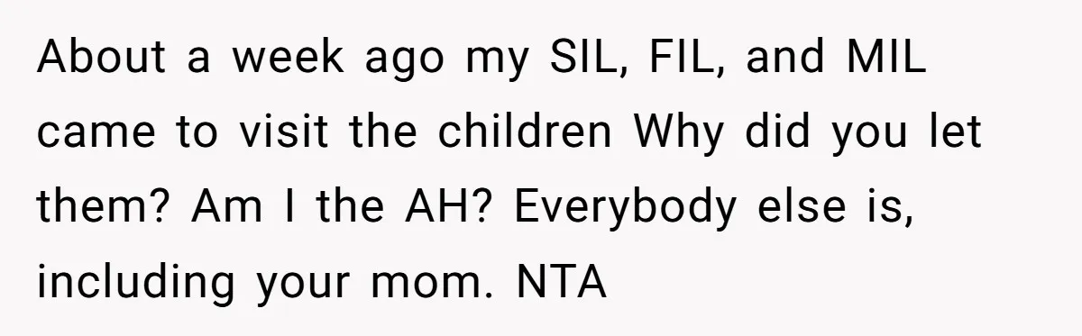About a week ago my SIL, FIL, and MIL came to visit the children Why did you let them? Am I the AH? Everybody else is, including your mom. NTA