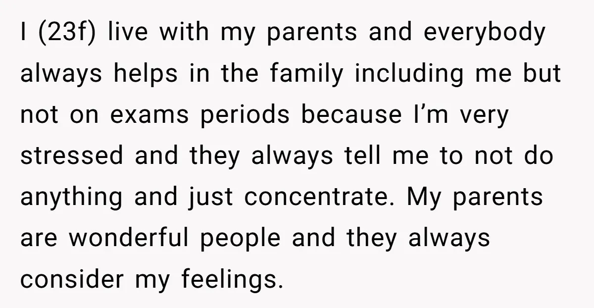I (23f) live with my parents and everybody always helps in the family including me but not on exams periods because I’m very stressed and they always tell me to...
