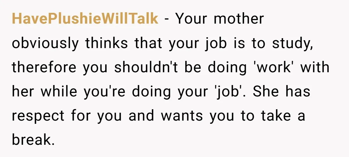 HavePlushieWillTalk − Your mother obviously thinks that your job is to study, therefore you shouldn't be doing 'work' with her while you're doing your 'job'. She has respect for you...