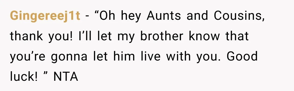 Gingereej1t − “Oh hey Aunts and Cousins, thank you! I’ll let my brother know that you’re gonna let him live with you. Good luck! ” NTA