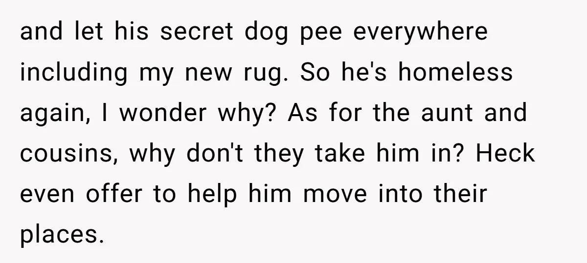 and let his secret dog pee everywhere including my new rug. So he's homeless again, I wonder why? As for the aunt and cousins, why don't they take him in?...