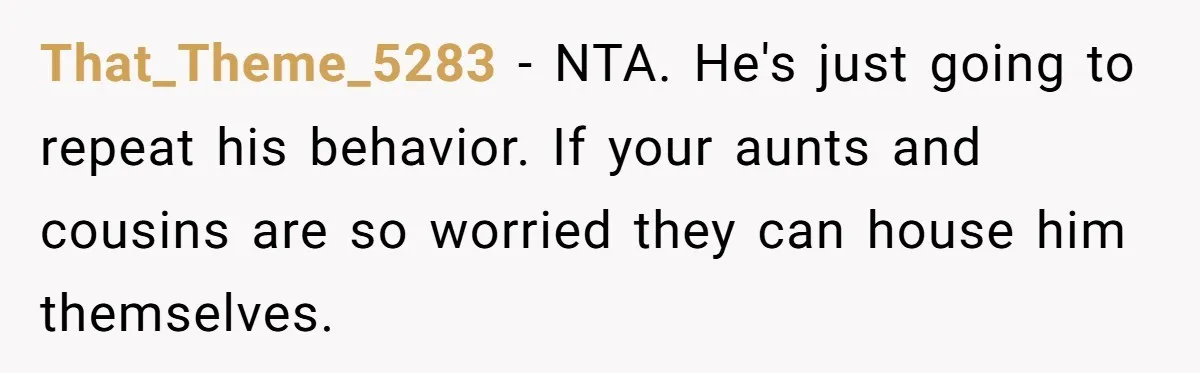 That_Theme_5283 − NTA. He's just going to repeat his behavior. If your aunts and cousins are so worried they can house him themselves.
