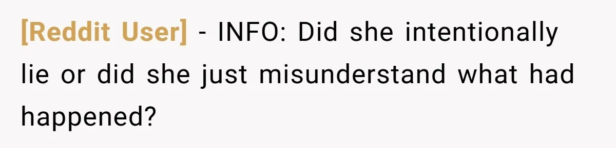 [Reddit User] − INFO: Did she intentionally lie or did she just misunderstand what had happened?