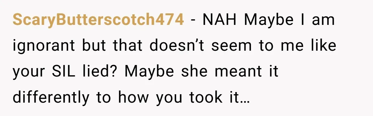 ScaryButterscotch474 − NAH Maybe I am ignorant but that doesn’t seem to me like your SIL lied? Maybe she meant it differently to how you took it…