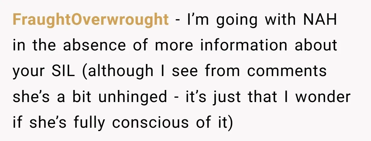 FraughtOverwrought − I’m going with NAH in the absence of more information about your SIL (although I see from comments she’s a bit unhinged - it’s just that I wonder...