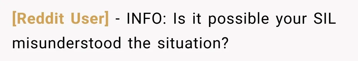 [Reddit User] − INFO: Is it possible your SIL misunderstood the situation?