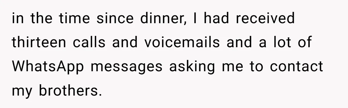 in the time since dinner, I had received thirteen calls and voicemails and a lot of WhatsApp messages asking me to contact my brothers.